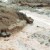 pic: clima Atacama; lluvias
