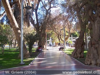 Plaza de Copiap� (Atacama, Chile)