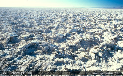 Salar de Atacama (1989) - II. Regi�n / Chile