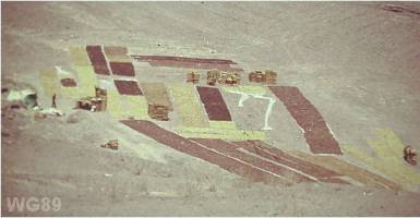 Rosinen werden im Copiapo Tal getrocknet