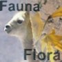 Fauna y flora del desierto Atacama