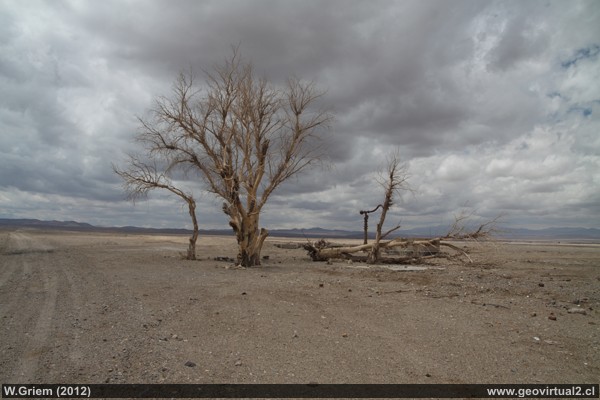 Estación Severin, Región Antofagasta; Desierto de Atacama, Chile