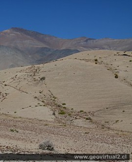 Vegetación en línea de estrucuras tectónicas