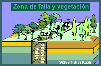 Fallas y vegetación - diferencias