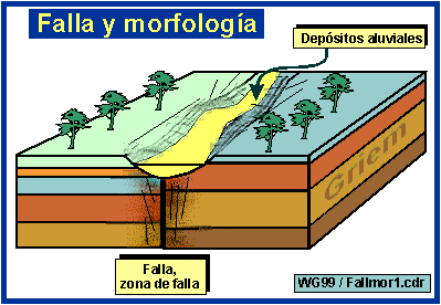 Falla y morfolog�a