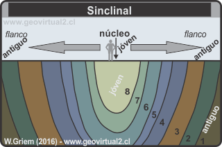 Sinclinal