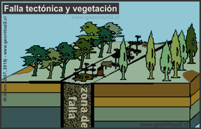 Falla tectónica y cambios en la vegetación