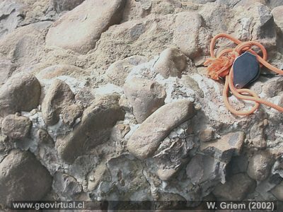 Conglomerado Formaci�n Cerrillos (Qda. Paipote, Regi�n Atacama)