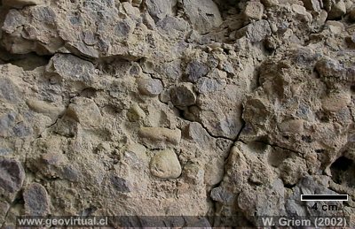 Conglomerado Formaci�n Cerrillos (Qda. Paipote, Regi�n Atacama)