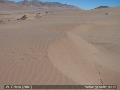 Duna transversal en Atacama