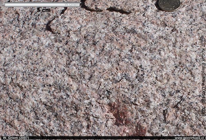 Granito del sector acerillos (Región Atacama, Chile)