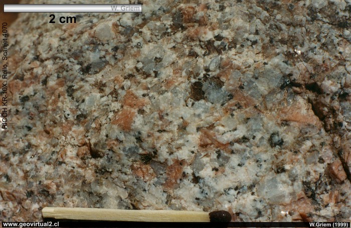 Granito, pérmico del sector La Semilla (Atacama, Chile)