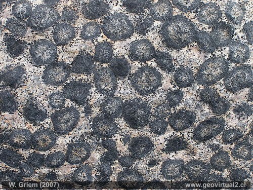 Granito orbicular