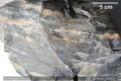 Lidita (Formaci�n La Tabla, paleozoico) Regi�n Atacama