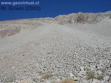 Mar de bloques (colada de bloques) - sector Jorquera (Regi�n Atacama)