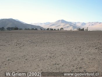 Terraza fluvial del río Copiapó