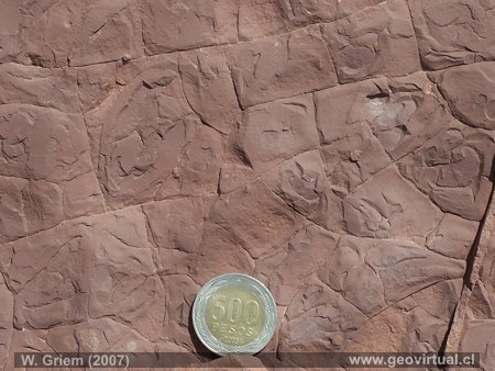 grietas de resecamiento en areniscas rojas - Atacama, Chile