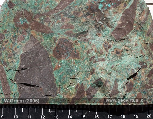Brecha hidrotermal - mineralizada