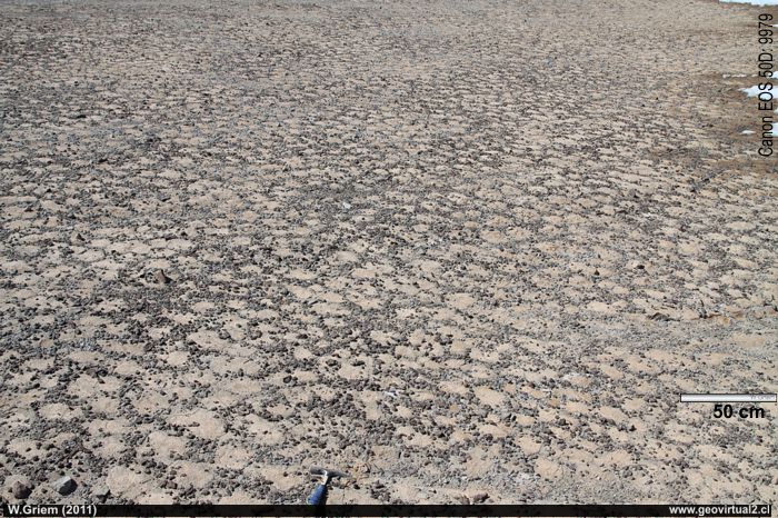 Poligonos del permafrost