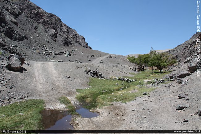 Mostazal de Cha�aral Alto, Atacama