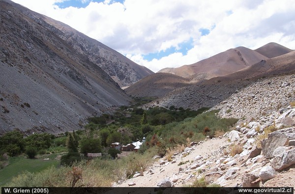 Junta de Potros en la Región de Atacama, Chile