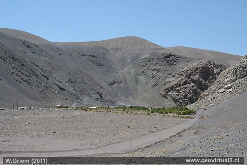 Vi�a del desierto - una oasis en el desierto de Atacama