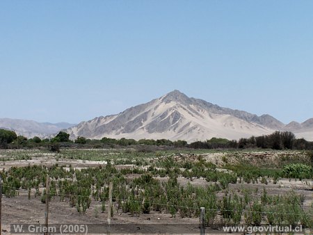 Cerro Bramador, Valle Copiap� - Atacama, Chile