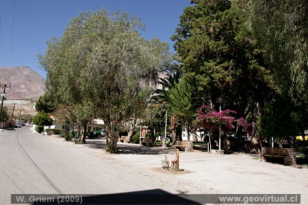 Atacama: Plaza de El Transito