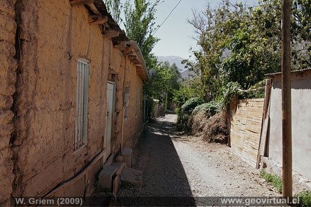 Jardines en El Transito, Atacama (Chile)