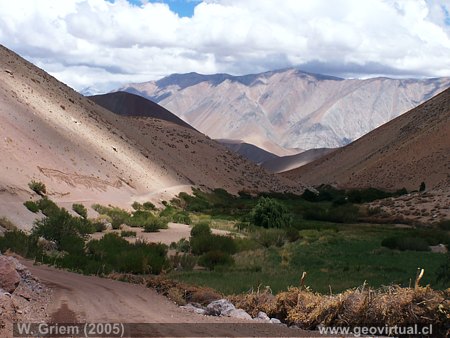 Junta de Potros - El Cadillal - Valle Copiapo