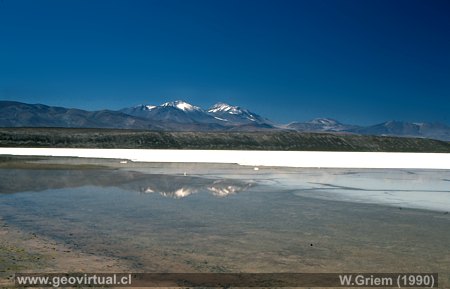Die Lagune Santa Rosa in den chilenischen Anden, in der Atacama Region 