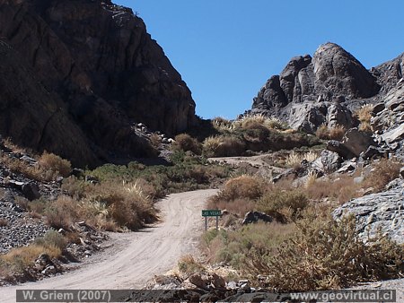 Las Vegas de Cha�aral Alto; Atacama - Chile