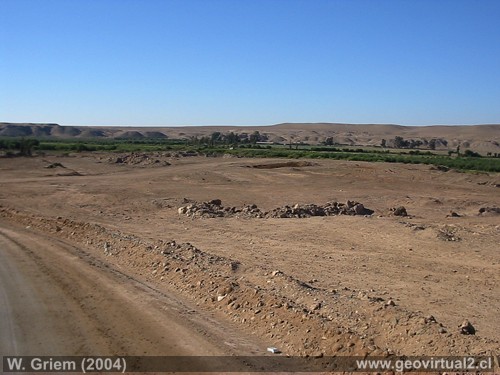 Sector Mar�a Isabel, Valle Copiap� (Chile, Atacama)