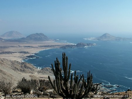 Parque Nacional Pan de Az�car (Regi�n Atacama, Chile)