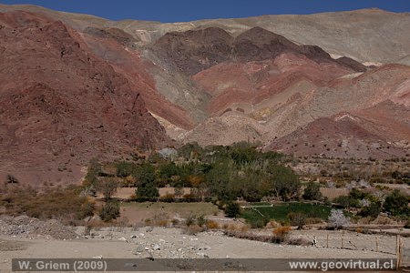 Quebrada de Pinte, Atacama - Chile
