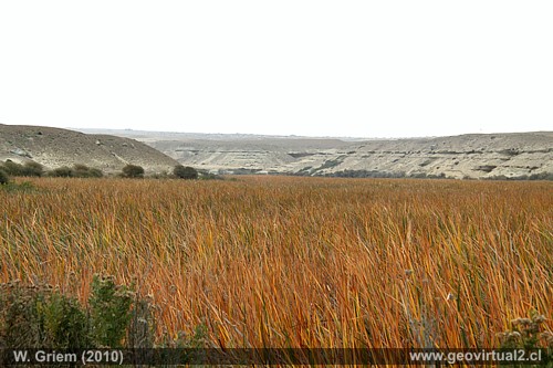 Desembocadura del r�o Copiap�, cerca de Puerto Viejo - Atacama, Chile