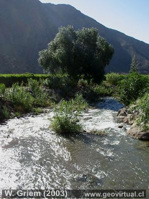 Río Copiapó cerca de puente "El Yeso" (Región Atacama, Chile)