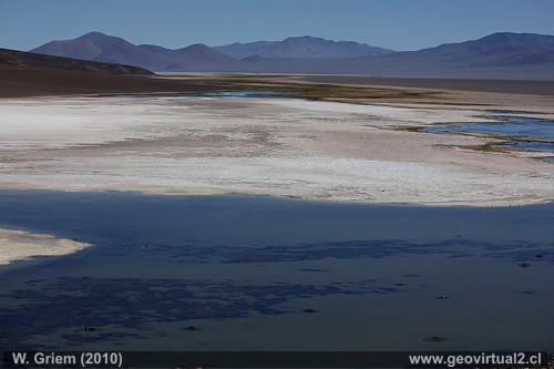 Laguna Santa Rosa y Salar de Maricunga