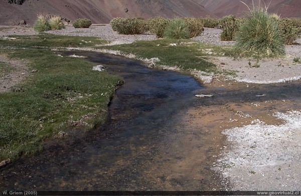 Atacama - Vega Colorada
