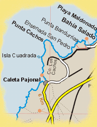 carta de Caleta Pajonal