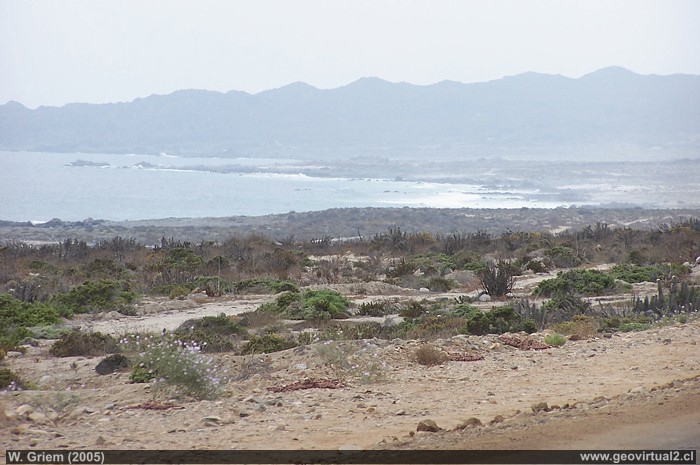 Die Pazifikküste in der Atacama Wüste: Hier bei Carrizal Bajo in der Atacama Region in Chile
