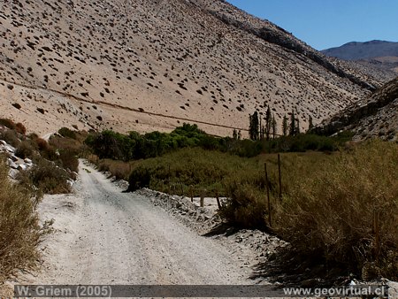 La hacienda Jarilla - QuebradaAlgarrobal