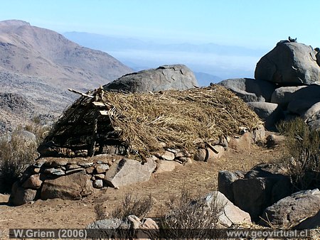 Casita, refugio de madera y paja en las alturas del portezuelo Tabaco 