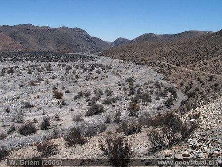 Das Algarrobal Tal in der Region Atacama, Chile