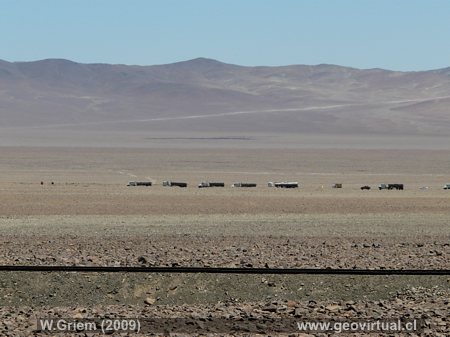 Llano San Pedro cerca Inca de Oro, desierto Atacama (Chile)