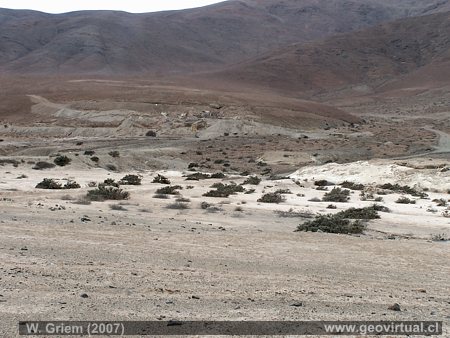 Sector Agua del Burros en la Quebrada Salitrosa, Chile