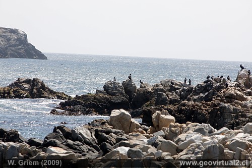 Costa de Atacama: Playa Las Gaviotas