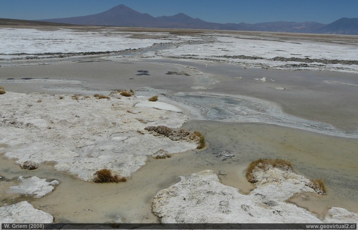 Der Pedernales Salzsee in der Atacama-Wüste, Chile 