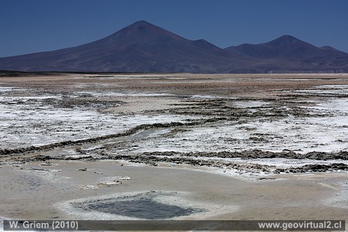 Salar de Pedernales (Regi�n Atacama, Chile)