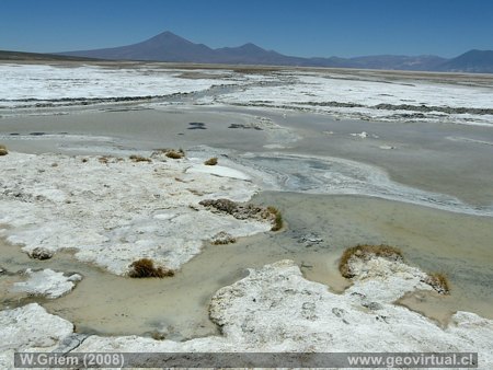 Salar de Pedernales